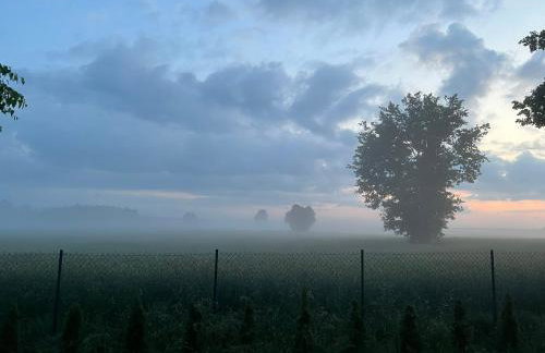 U Progu Lasu - Foto 65