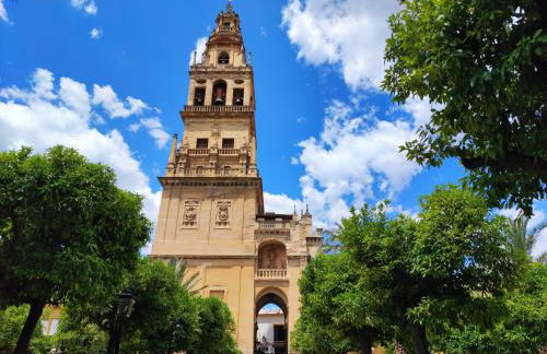 Apartamento Alcázar San Basilio - Foto 16