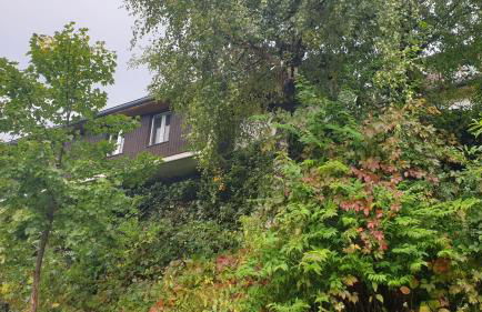 Ferienwohnung auf dem Bückle - Foto 7