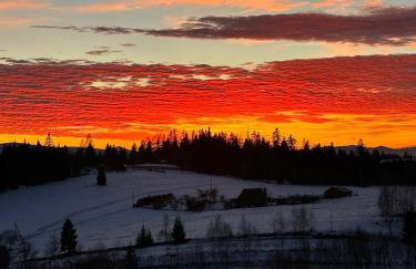 Domek DE-Luxe BUFLAK - Foto 45