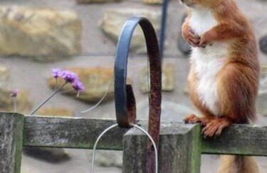 La'l Stenkrith - Photo 17