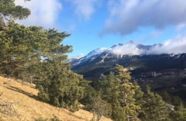 La haut, dans les montagnes ... - Foto 12