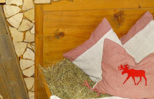 Ferienwohnungen Fricker - Photo 26