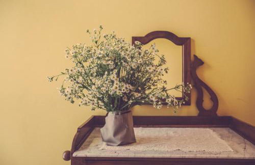 Agriturismo I Surì Asti - Foto 9