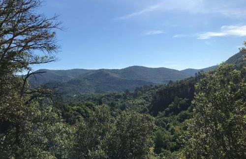 Gîte des 3 vallées - Le soleil des Cévennes - Foto 14