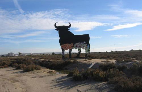 Penthouse with stunning views - Foto 34