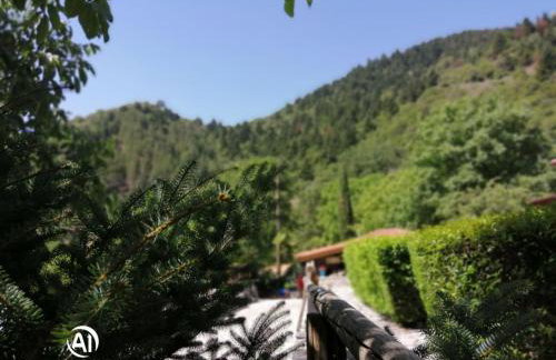 Petrina Theohari - Foto 33