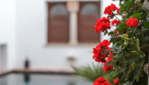 ApartaSuites Alberca Deluxe - Foto 3