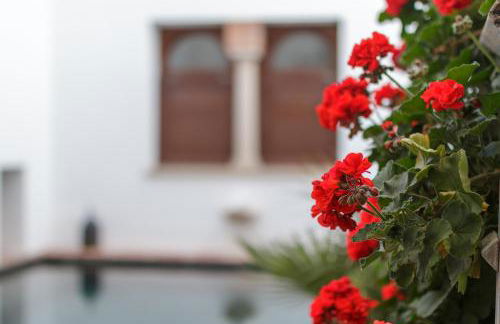 ApartaSuites Alberca Deluxe - Foto 3