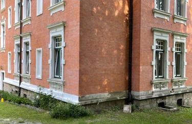 Vogtlandperle - Foto 6