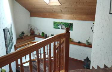 Aussergewöhnliche Atelierferienwohnung mit Balkon an der Donau - Foto 50