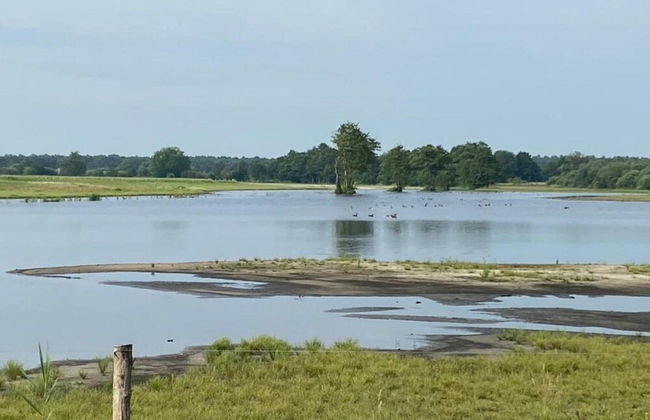 Forest Cottage Near Leenderbos - Foto 53