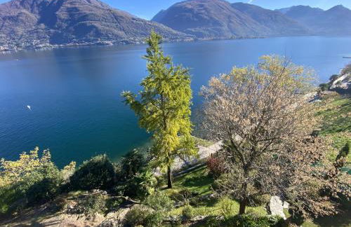 LakeSide Villa Del Pierangelo: Apartment Platanus - Foto 13