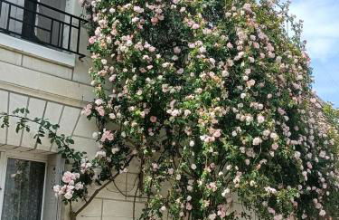 Le Berceau de Carmen - Photo 30