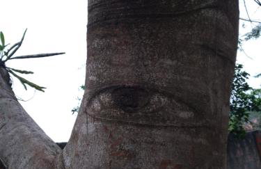 Casa aconchegante térrea à 3min de carro do centro e praia central - Foto 18