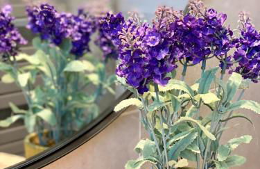 Ravissante maison à St Paul de Vence - Foto 26