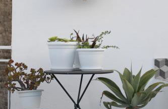 Casa Lupita - Foto 20