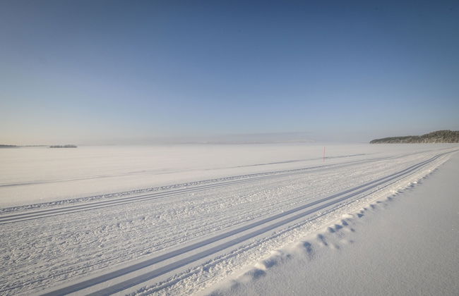 Vuokatin Aateli Castle - Foto 47