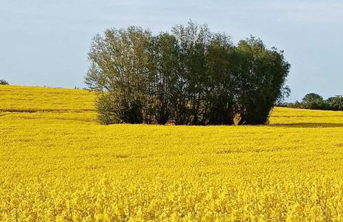 Modern Apartment in Elmenhorst Near Sea - Foto 103
