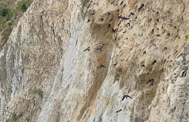 SEGELund - Zeit für uns- ruhige und sonnige Ferienwohnung mit Terrasse und Garten nahe Strand und Ostsee - Foto 42