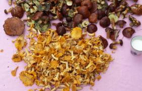 Ferienhaus Kerstin - Foto 22