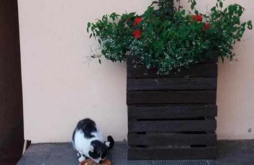 Nad Krolówką - Foto 28