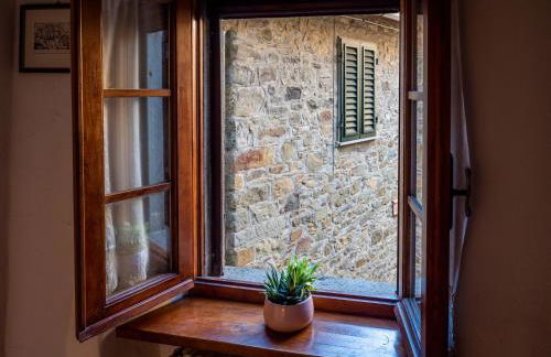 Aramo Verde - Foto 16