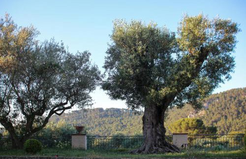 Gites de la Villa Pergola - Foto 65