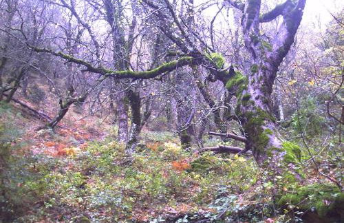 A 11 km de Riopar Casa Acogedora con sabor antaño - Foto 28