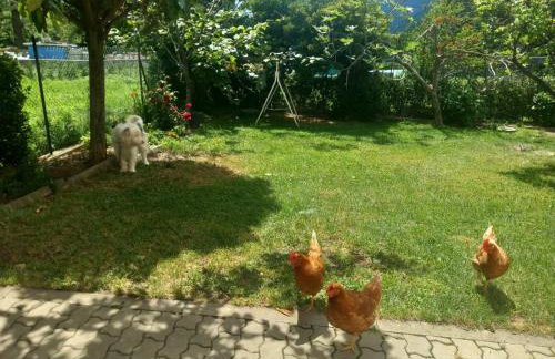 Casa Sergio - Photo 31