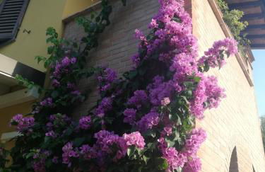 Casolare Isabella "Il rifugio dei vinili" and Alice's room - Foto 47