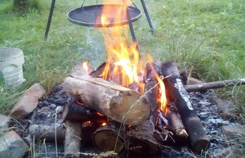 Sigmundenhof Schonach - Foto 53