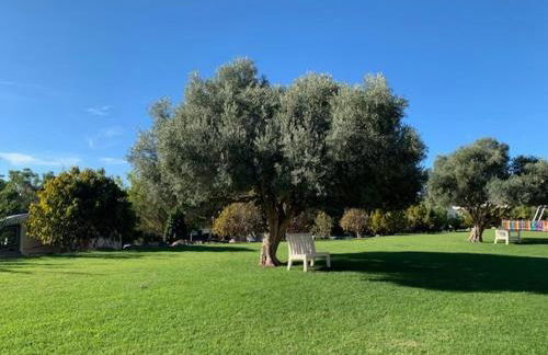 Los Veleros Relax - Foto 11