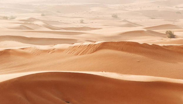 Safari Matinal - Photo 5