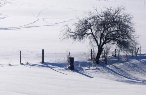 Ferienwohnung in der Nahe des Skigebietes - Foto 32