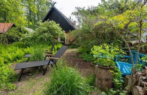 Spreewald Fewo direkt am Wasser - Foto 4