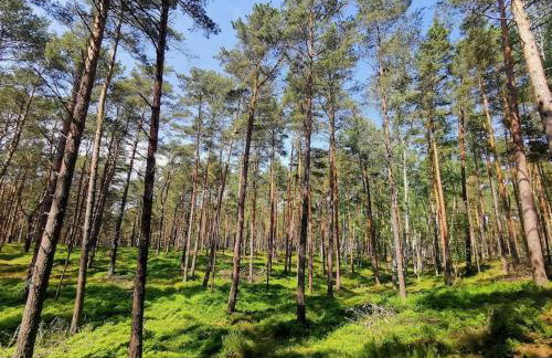 CampOloHel- przyczepa kempingowa - Foto 13