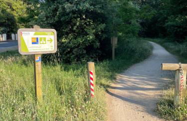 L'étoile des pins - Photo 18