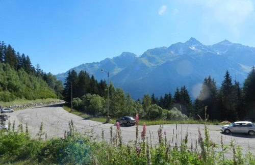 Studio 18m² pour 3 pers, proche pistes, animaux admis - FR-1-557A-18 - Foto 5