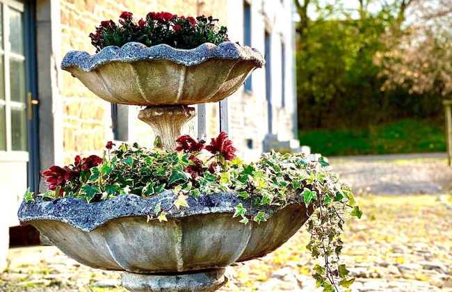 Elegant Hillside Mansion - Photo 28