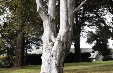 Chalet 176 Glan Gwna Park Caernarfon - Photo 44