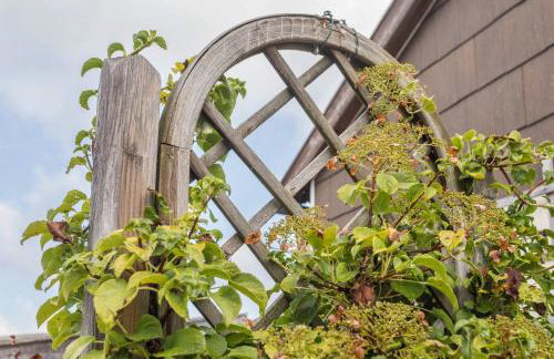 Haus Rosi und Werner - Foto 18