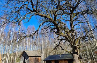 Leniuszkowo Święty Spokój - Foto 50