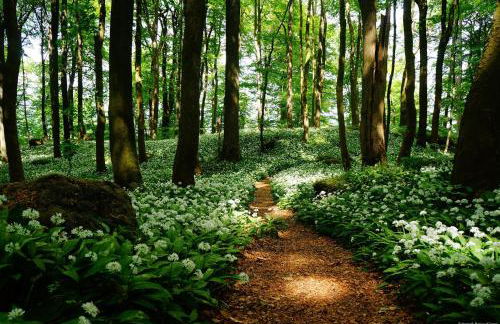 Ferienwohnung 90qm max 3 Gäste - Foto 14