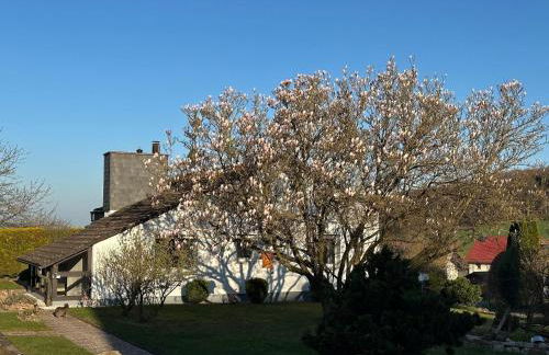 Ferienhaus – Bergblick am Köterberg - Foto 7