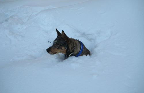 Zigeunermühle - Foto 31