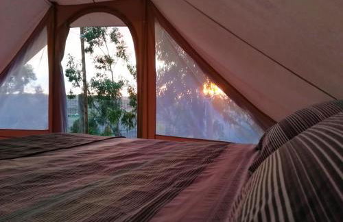 Herdade da Hera - Foto 55