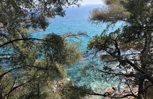 Villa les Alizés - Foto 48