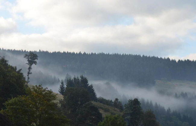 Enchanting Holiday Flat in the Harz Mountains - Foto 25