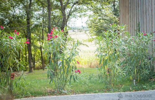 ORBIS - "Le Chalet des coteaux" - Cadre magnifique - Terrasse sans vis-à-vis - Parking privé - WiFi - Foto 16